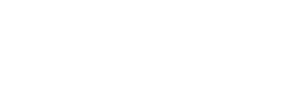CPA - Chartered Professional Accountant