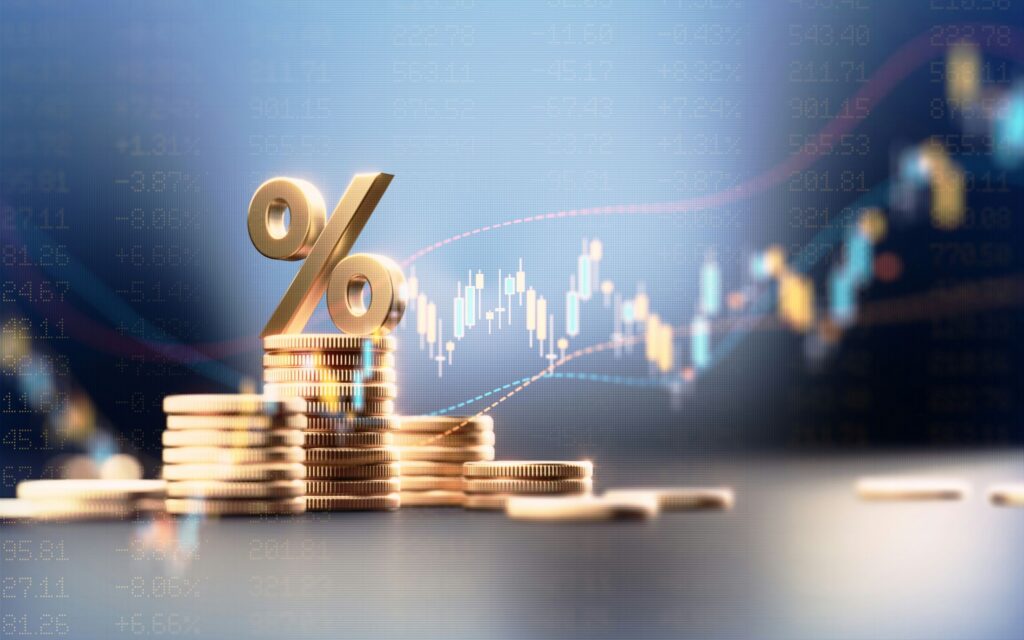 CFO services for small business — margins, rates, and returns in view