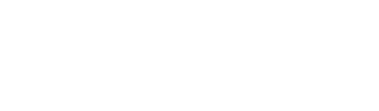 CPA - Chartered Professional Accountant