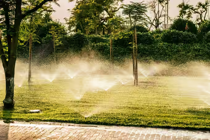 Irrigation services - lawn sprinklers running across a landscaped yard at dusk beside a paved walkway